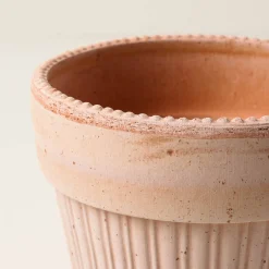 VND7468 Bergs Potter INC Terracotta Dotted Bergs Pot