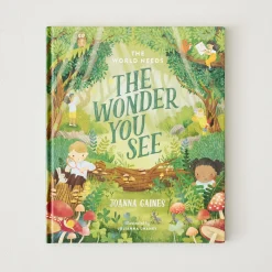 Kids VND7804 Harper Collins Christian Publishing The World Needs the Wonder You See