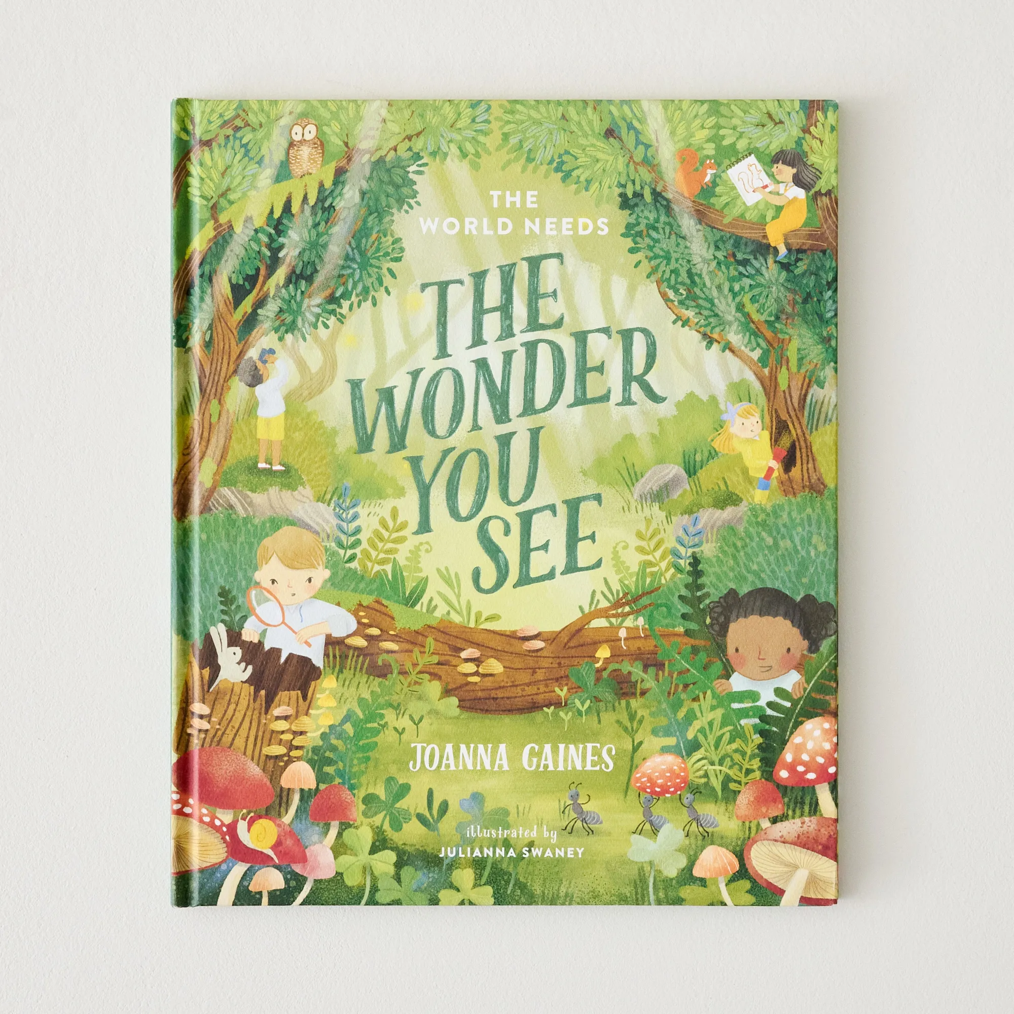 Kids VND7804 Harper Collins Christian Publishing The World Needs the Wonder You See