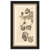 VND6204 Soicher Marin of Florida Vintage Peony II