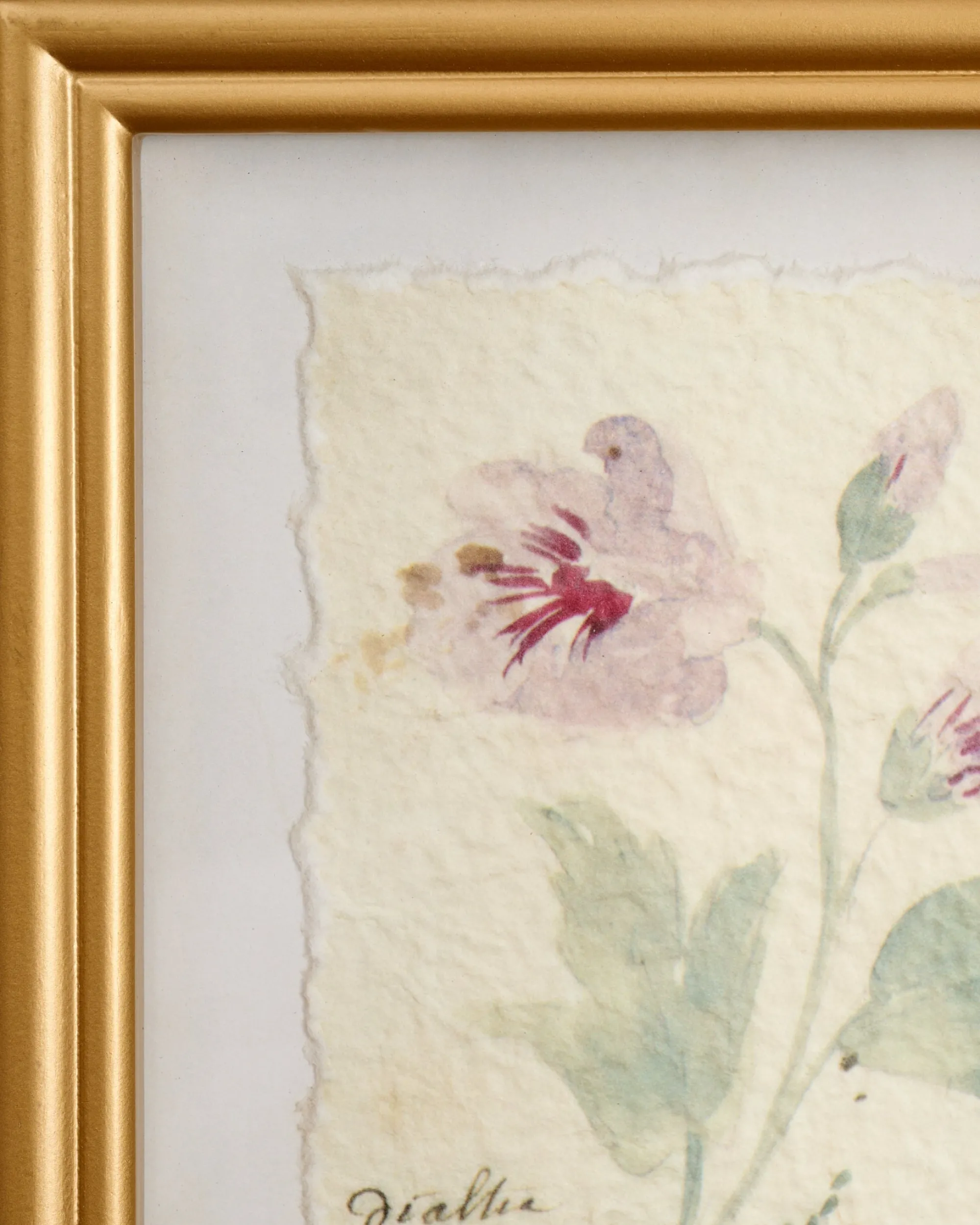 VND8679 Wares, LLC Watercolor Floral Framed Print