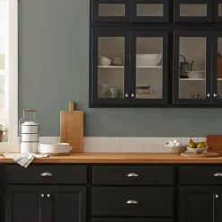 VND0188 Kilz - Masco Coatings Wellington Green - Premium Interior Paint